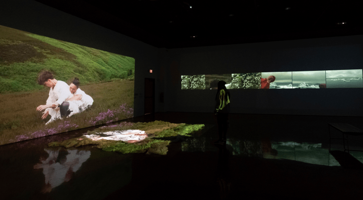 Screen Shot 2018-11-08 at 6.44.22 PM