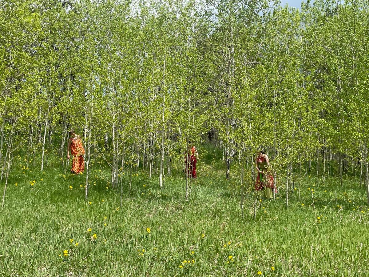 Filming in the Colorado&nbsp;Foothills